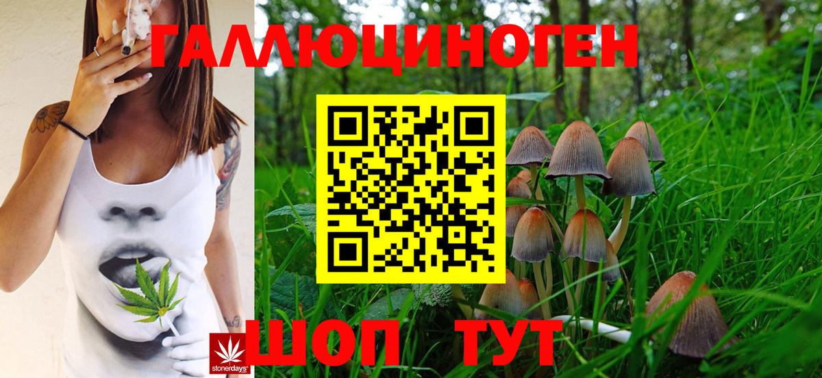 Псилоцибиновые грибы ЛСД  магазин продажи   Кизилюрт  Вход с VPN  Галлюциногенные грибы мицелий 